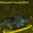 Os lobos de Northshire estão doentes!