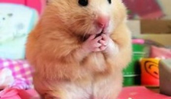 Qual foi o fato mais estranho que já aconteceu no Dungeon Finder?