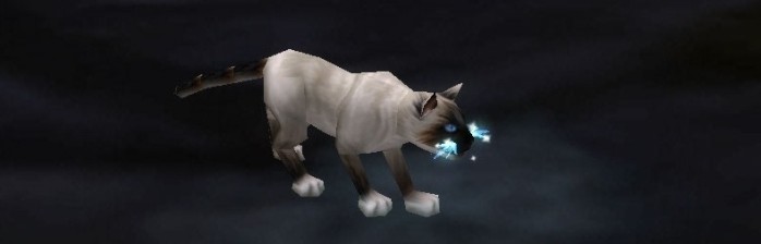 [Mascotes] Para Raide de Coleira na Mão