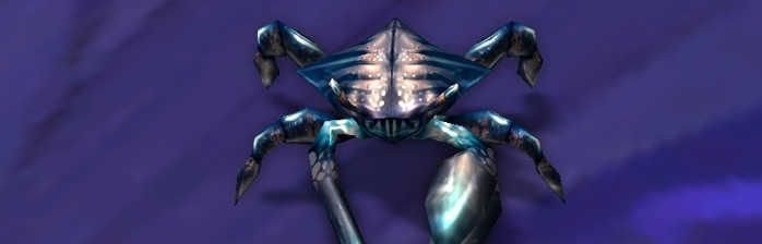 Mascote do mês – Caranguejo Imperador