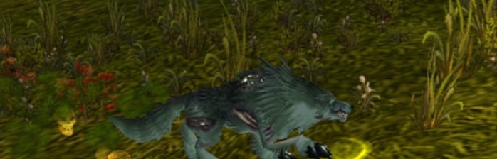 Os lobos de Northshire estão doentes!