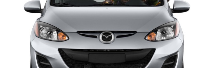 Onde está thrall (11)