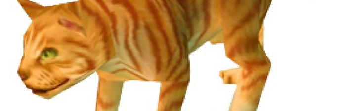 gato tigrado laranja