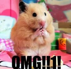 OMG