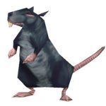 Rato gigante